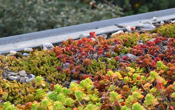 the cost of Cleobury North green roof installation