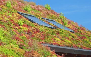 Cleobury North living roof systems